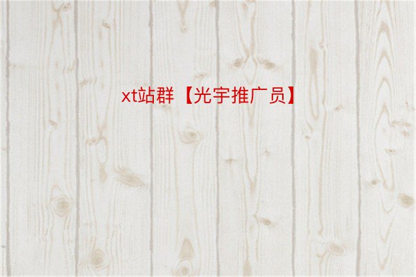 xt站群【光宇推广员】